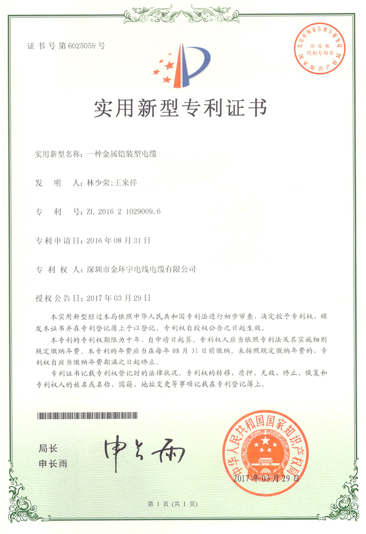 實(shí)用新型專利
